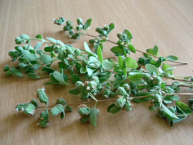 Garlic and Rosemary